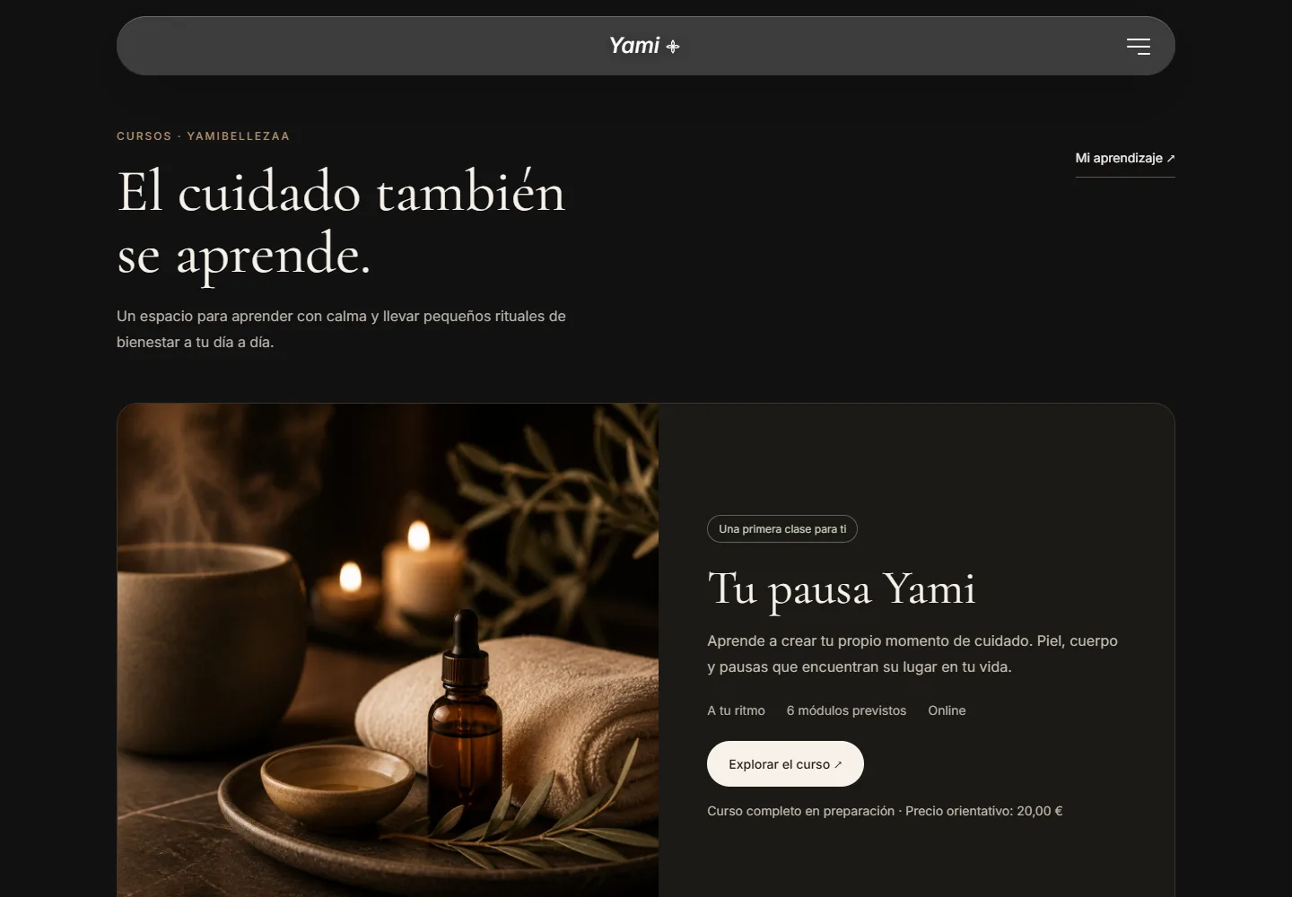 Página de presentación de los cursos